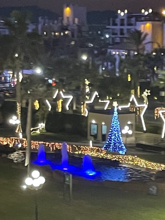 Gartenanlage Steigenberger ALDAU Beach Hotel