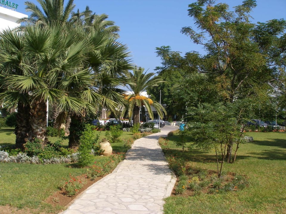 Территория отеля Hotel JAZ Tour Khalef
