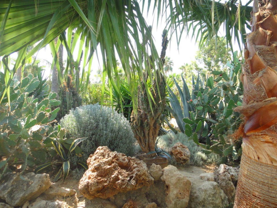 Сквер Arycanda Kirman Premium