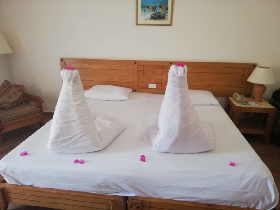 Zimmer Three Corners Fayrouz Plaza Beach Resort