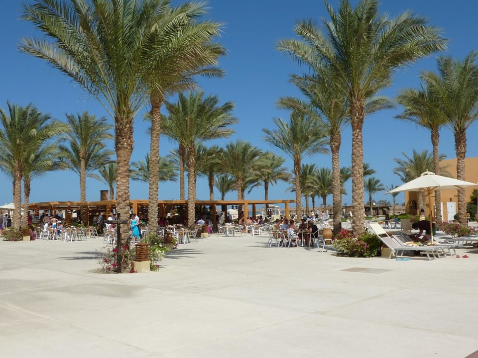 Strandbuffet Stella Garden Resort & Spa, Makadi Bay