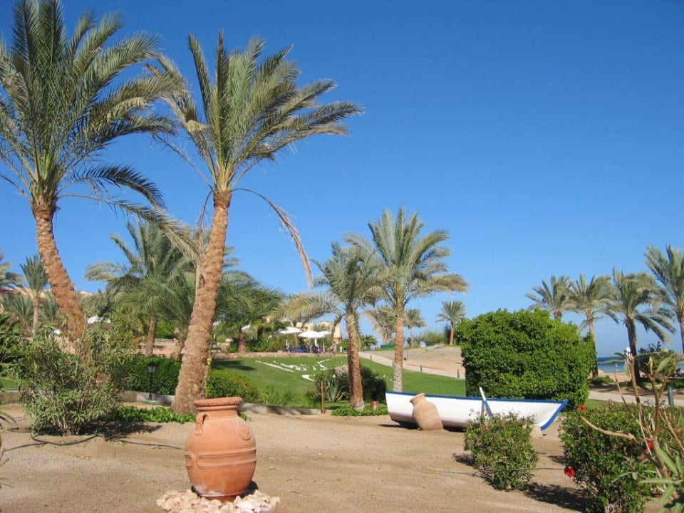 Am Strand Steigenberger Coraya Beach - Adults only