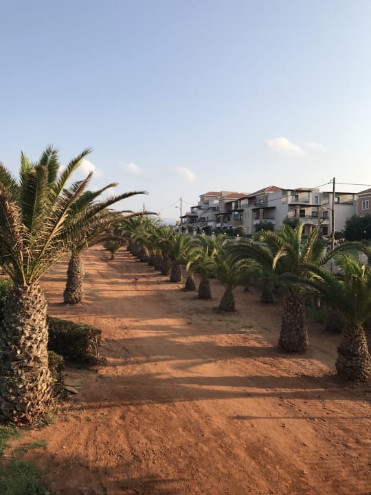Gartenanlage Lyttos Beach Hotel