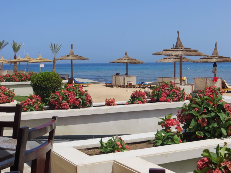 Sicht von der terrasse Beach Albatros Resort