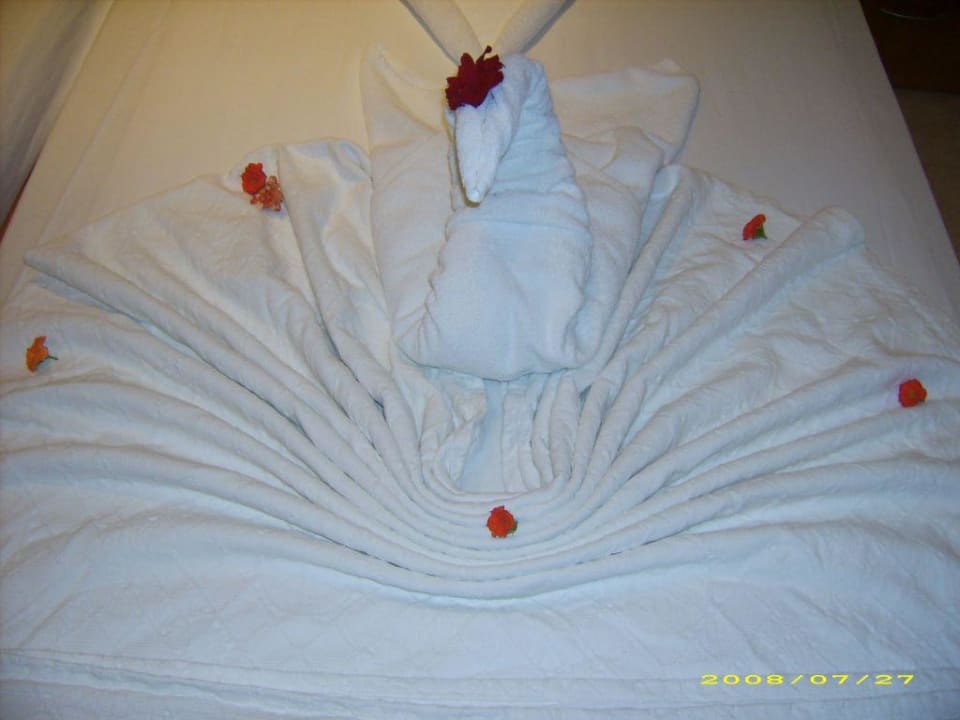 Überraschender Empfang Hotel Sirma