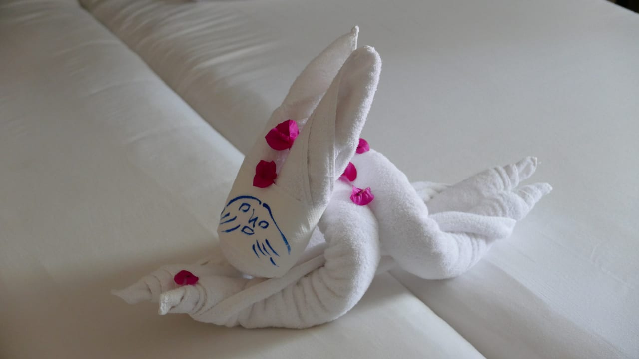 Häschen vom Roomboy Jaz Dar EL Madina