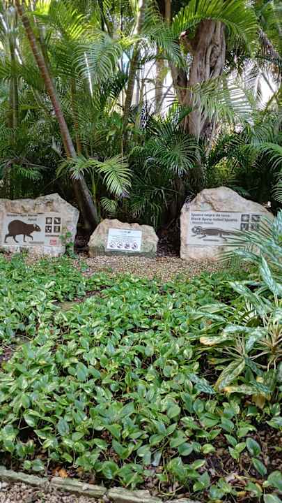 Gartenanlage Viva Azteca by Wyndham - All Inclusive Resort