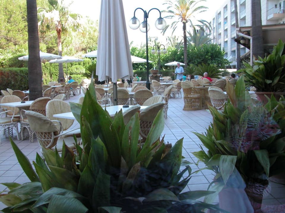 Hotel Metropolitan Playa Hotel Metropolitan Playa