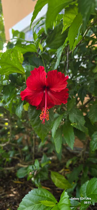 Gartenanlage Iberostar Waves Paraiso del Mar