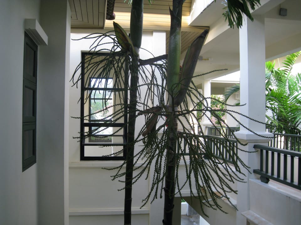 Treppenhaus Baan Khaolak Beach Resort