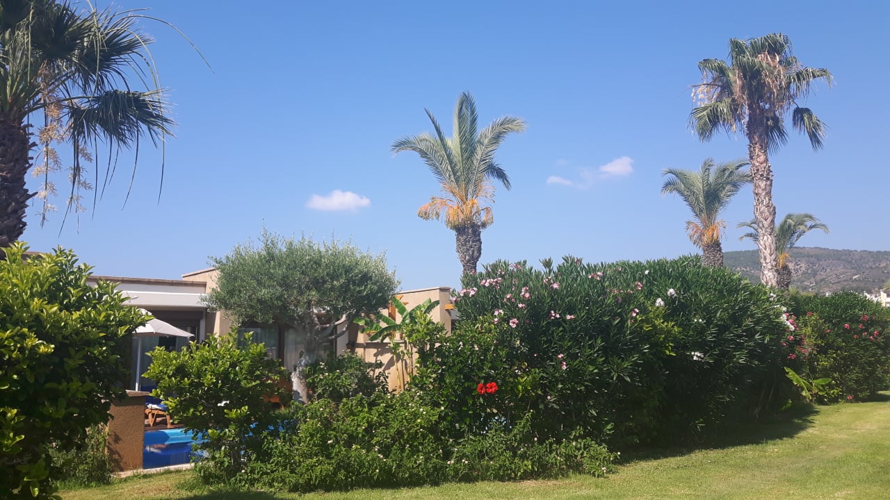 Gartenanlage Atrium Palace Thalasso Spa Resort & Villas