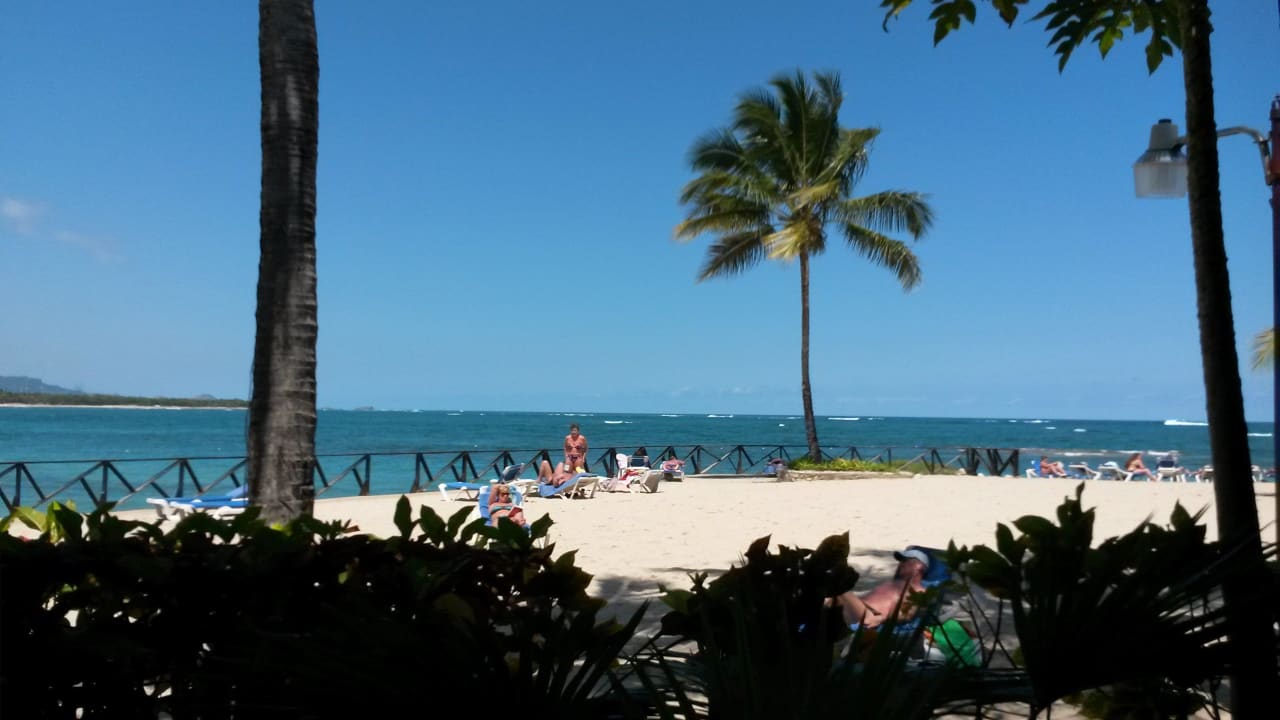 Aussicht von der Snack-Bar Grand Paradise Playa Dorada