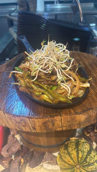 Gastro Seashell Vega