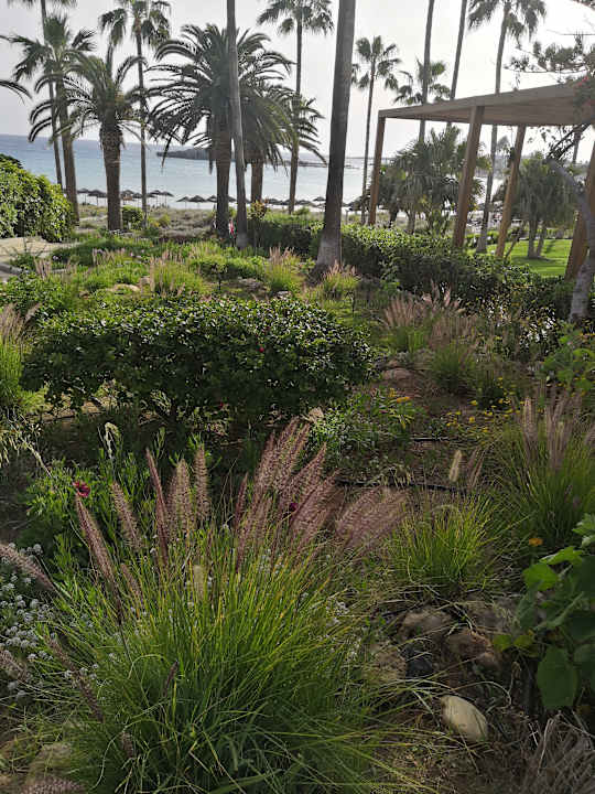 Gartenanlage Hotel Nissi Beach Resort