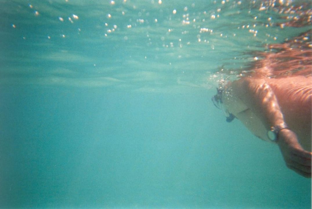 Unterwasser Iberostar Origin Taínos