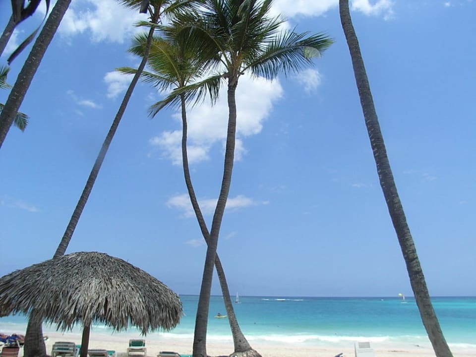 Traumstrand Grand Palladium Punta Cana Resort & Spa