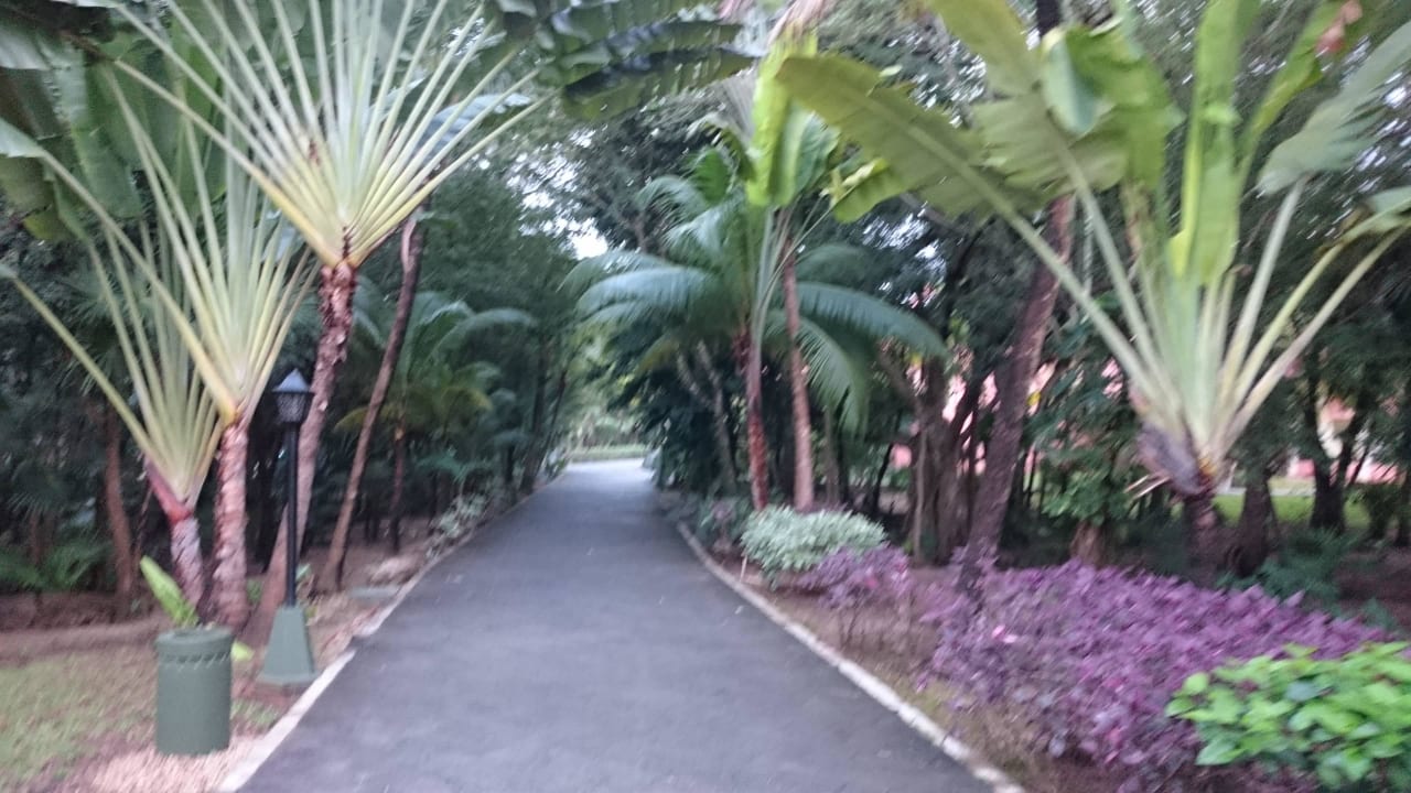 Weg Hotel Riu Tequila