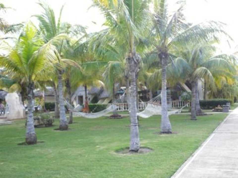 Gartenanlage Melia Las Antillas - Adults only