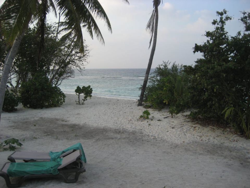 Kein schöner "Strand" Kuredu Island Resort & Spa