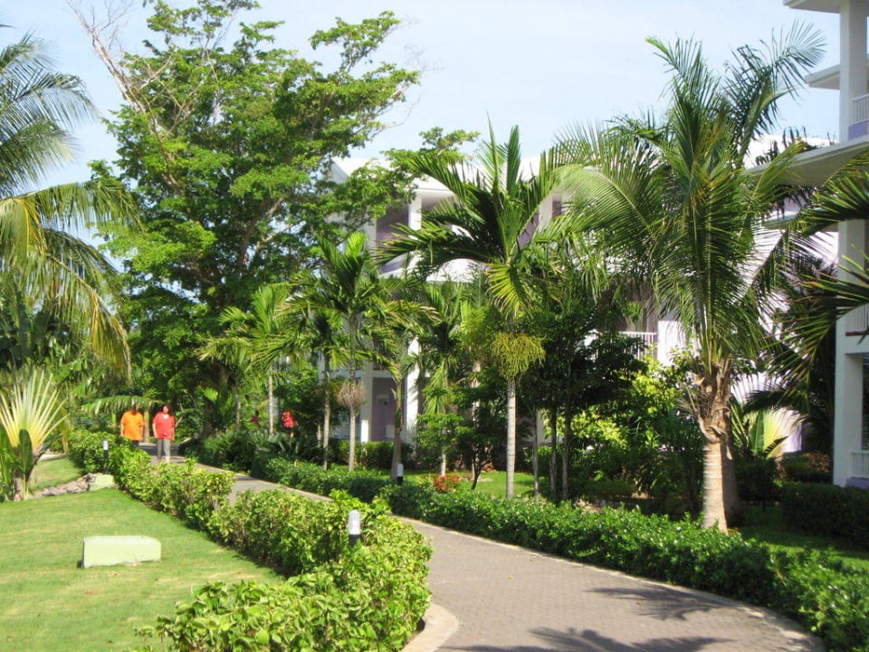 Weg durch den Garten Hotel Riu Negril