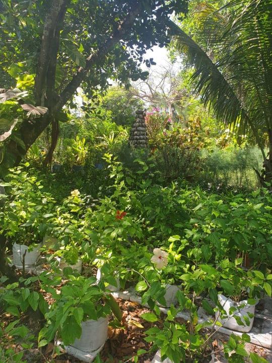 Gartenanlage NH Collection Maldives Reethi Resort