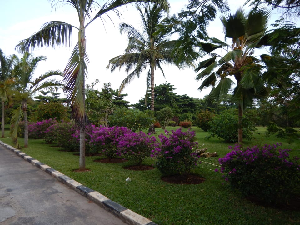 Sonstiges Neptune Pwani Beach Resort & Spa