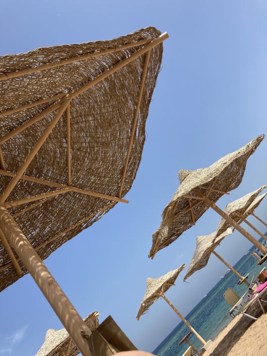 Strand Jaz Makadi Oasis Resort