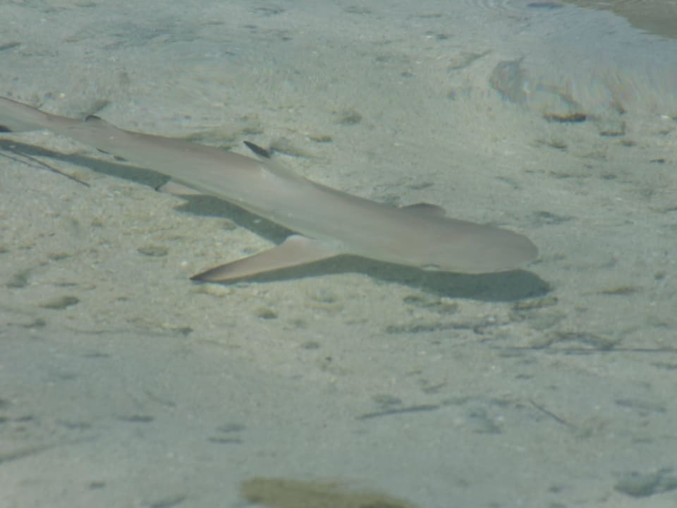 Baby-Hai Adaaran Select Hudhuran Fushi - Premium All Inclusive