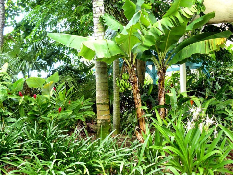 Das Cairns Beach Resort Hotel Cairns Beach Resort