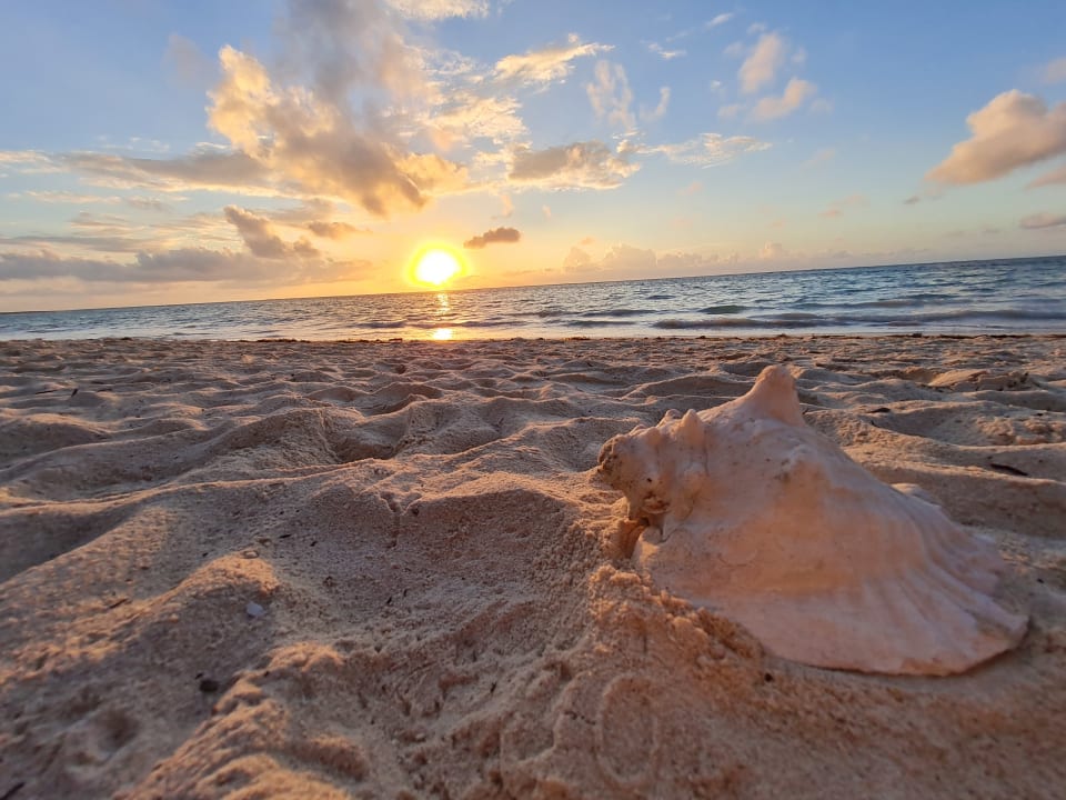 Ausblick Akumal Bay Beach & Wellness Resort