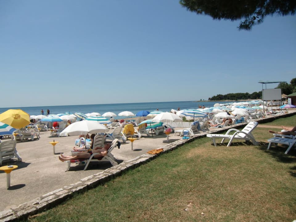 Strand pur Hotel Aurora Plava Laguna