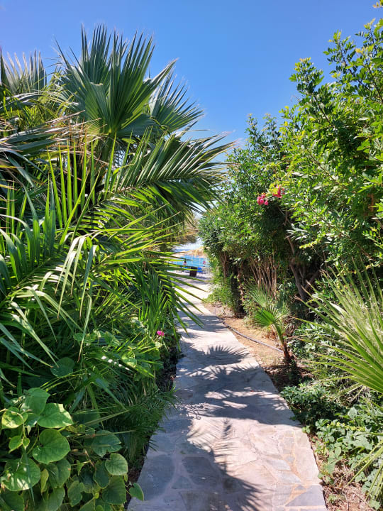 Gartenanlage Hotel South Coast