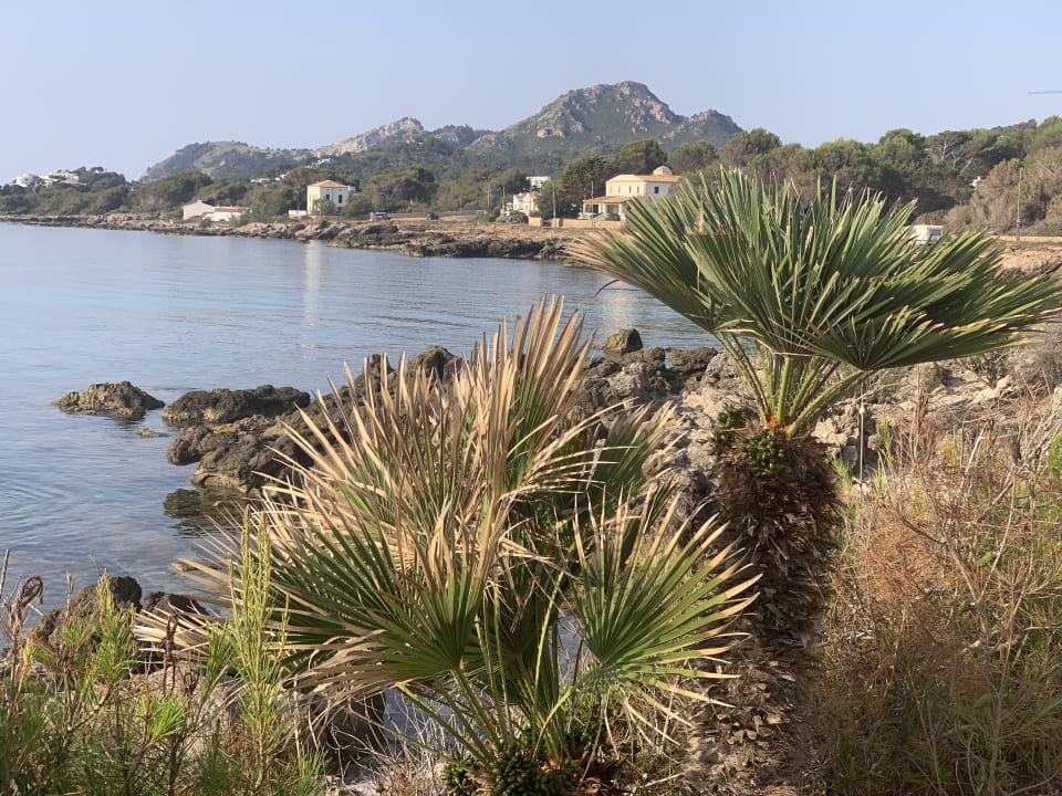 Ausblick Grupotel Aguait Resort & Spa - Adults only