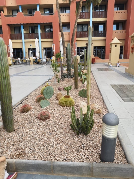 Gartenanlage H10 Tindaya