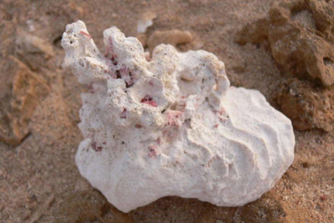 Hotel brayka bay Brayka Bay Resort