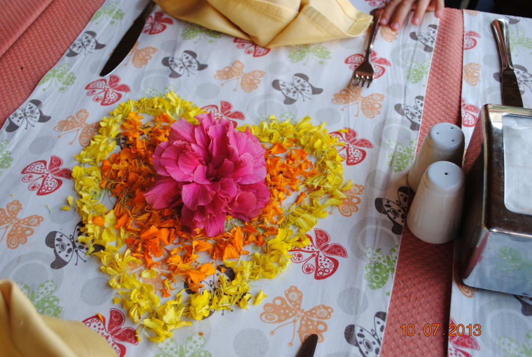 Dekoration Hotel Orfeus Park