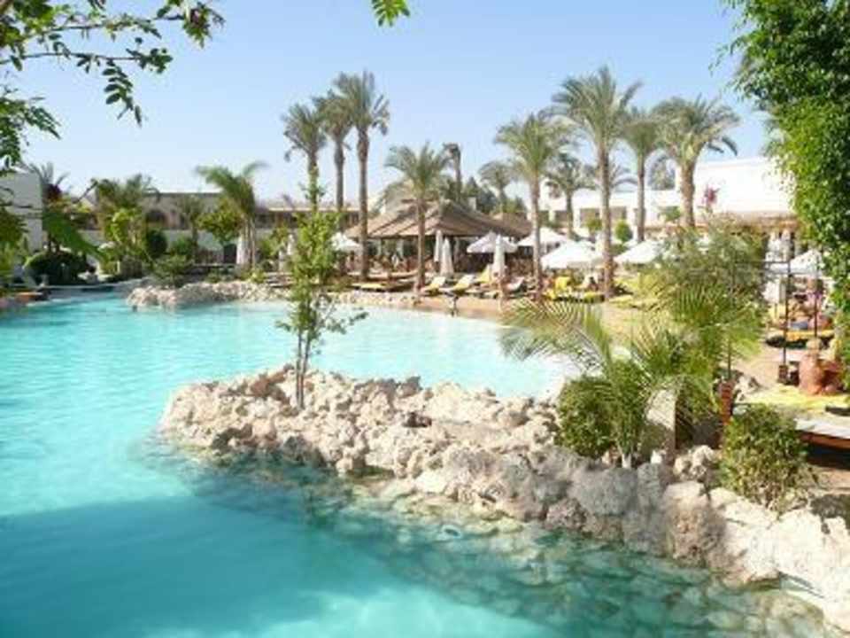 Pool Ghazala Gardens