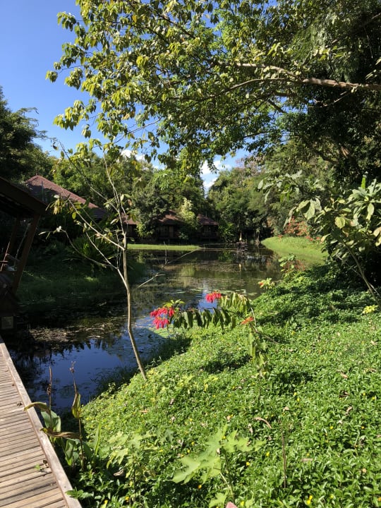 Gartenanlage Hotel Inle Resort