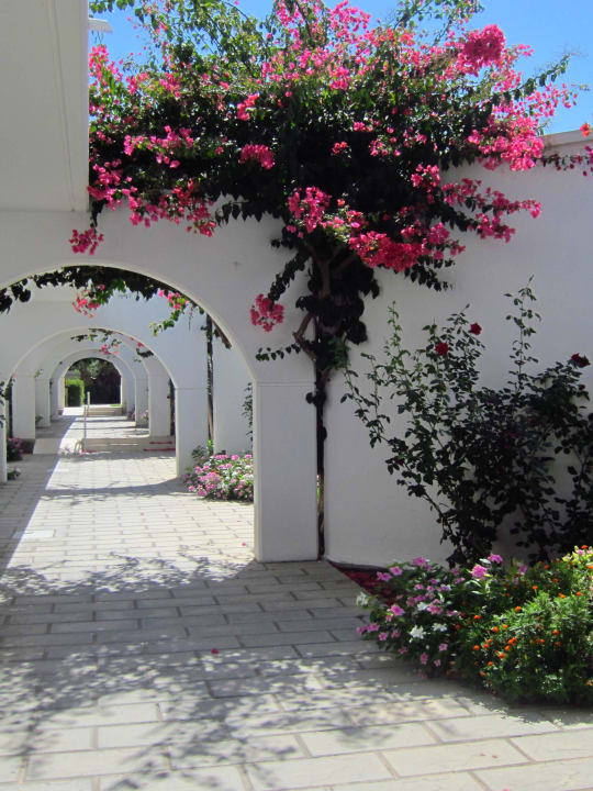 Gartenbungalows TUI KIDS CLUB Alex Beach