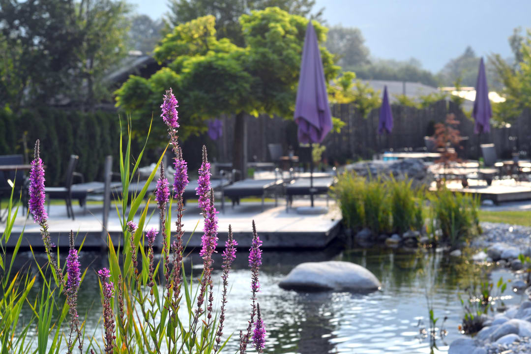 Gartenanlage Familien- & Vitalhotel Mühlpointhof