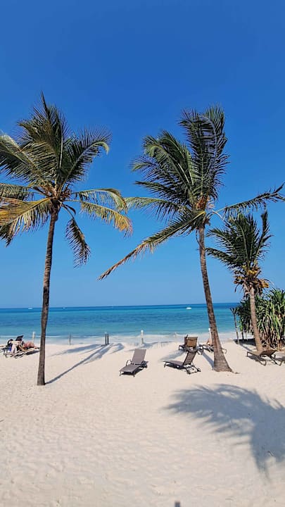 Strand Karafuu Beach Resort & Spa