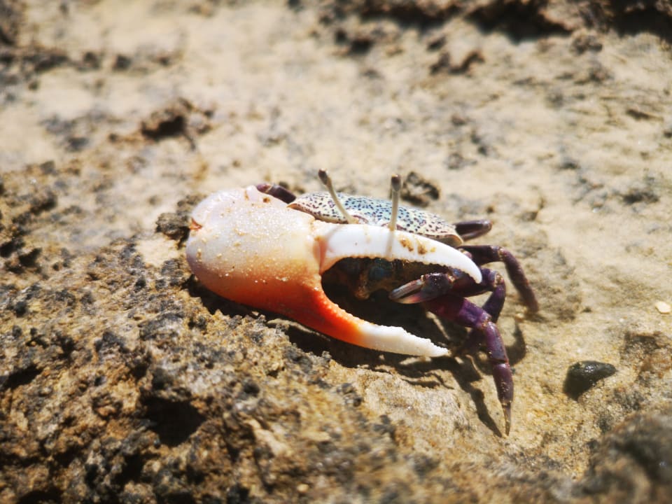 Strand Casa Mare Resort