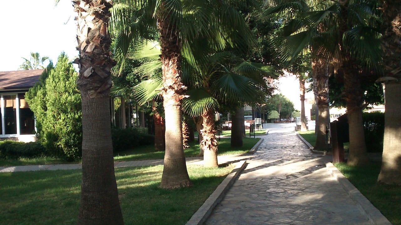 Weg vom Strand zum Pool / Hotel Hotel Royal Garden Beach