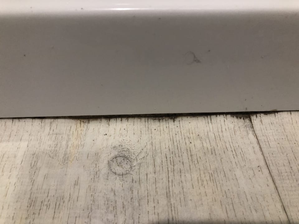 Zimmer Green Garden Aparthotel