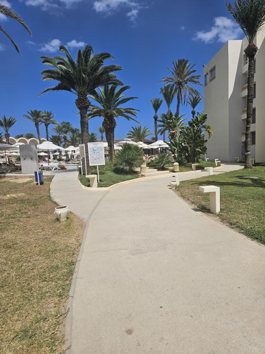 Pool Hotel Marhaba Club