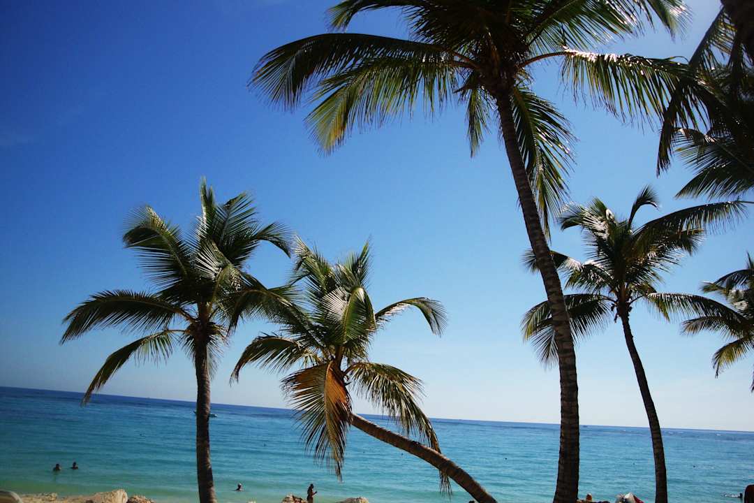 Ein Traum Hotel Riu Palace Bavaro