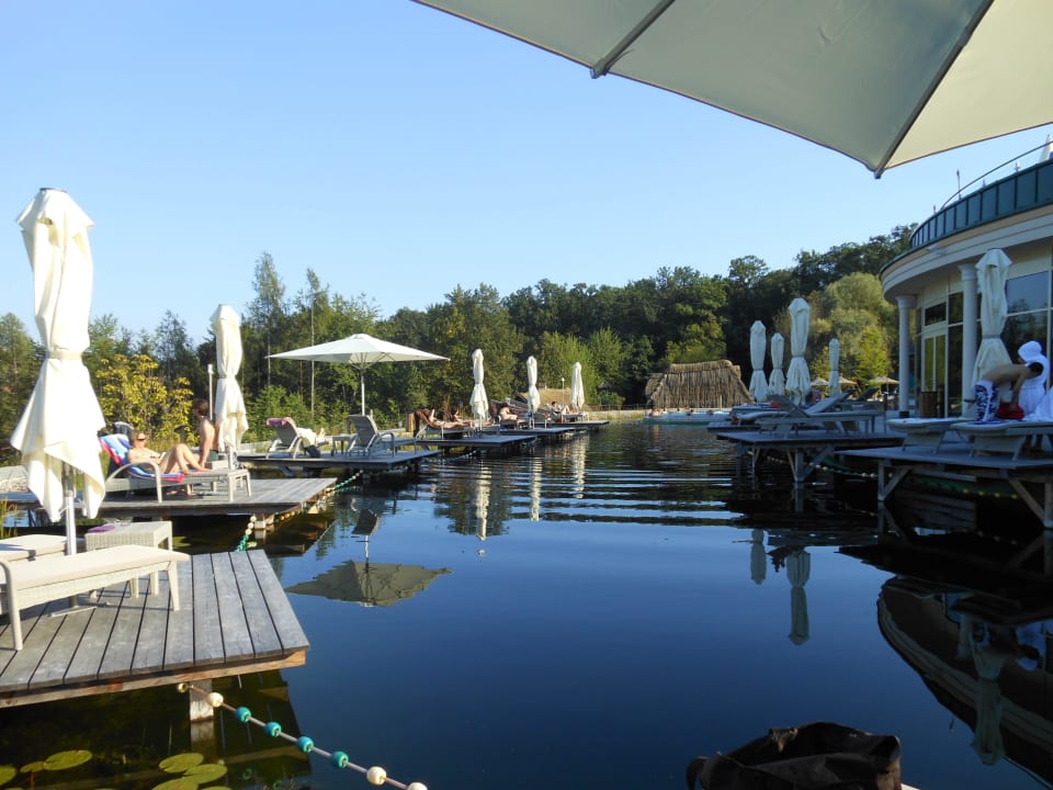Tolles Wetter - wenig Betrieb: amNaturschwimmteich Avita Resort Bad Tatzmannsdorf