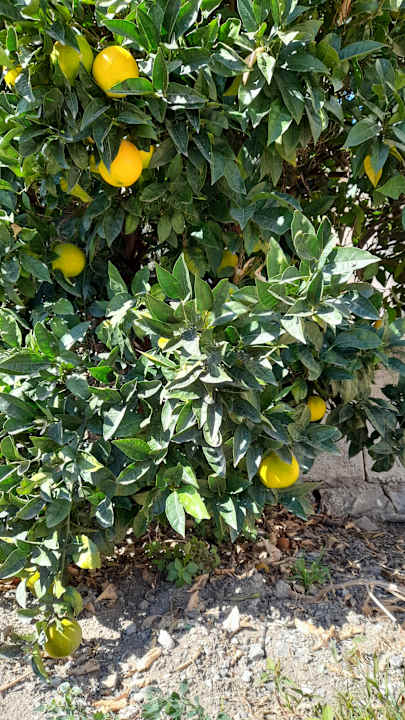 Sonstiges High Beach Resort