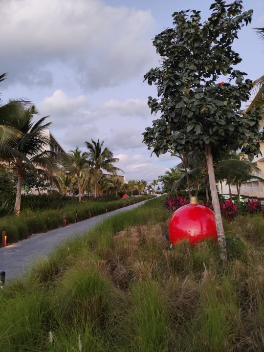 Gartenanlage TRS Coral Hotel - Adults Only