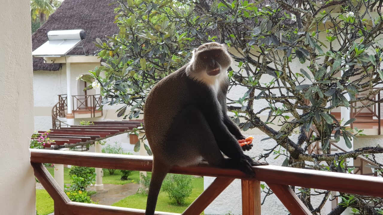 Zimmer Neptune Village Beach Resort & Spa